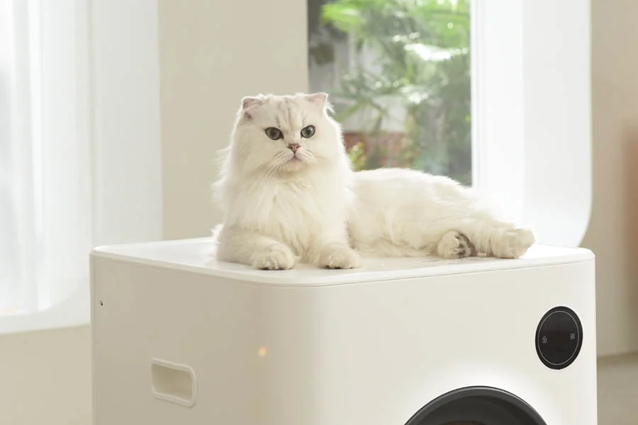 self cleaning kitty litter box reviews